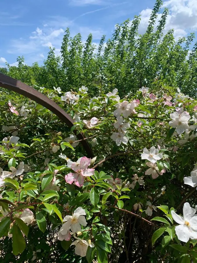 Bed & Breakfast Podere Le Vedute Larciano
